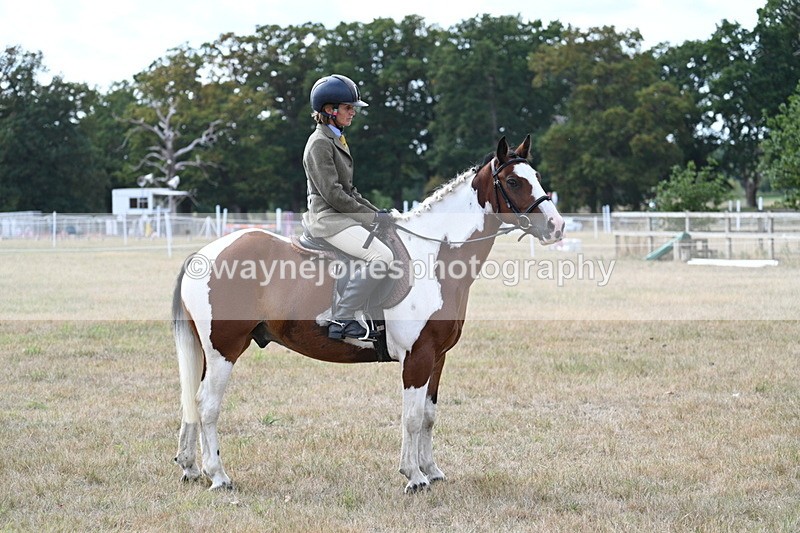 WJ7_7010 - Class 14 Ridden Coloured