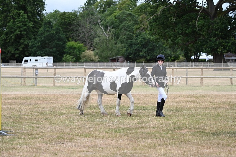 WJ6_4588 - Class 10 Coloured In-hand