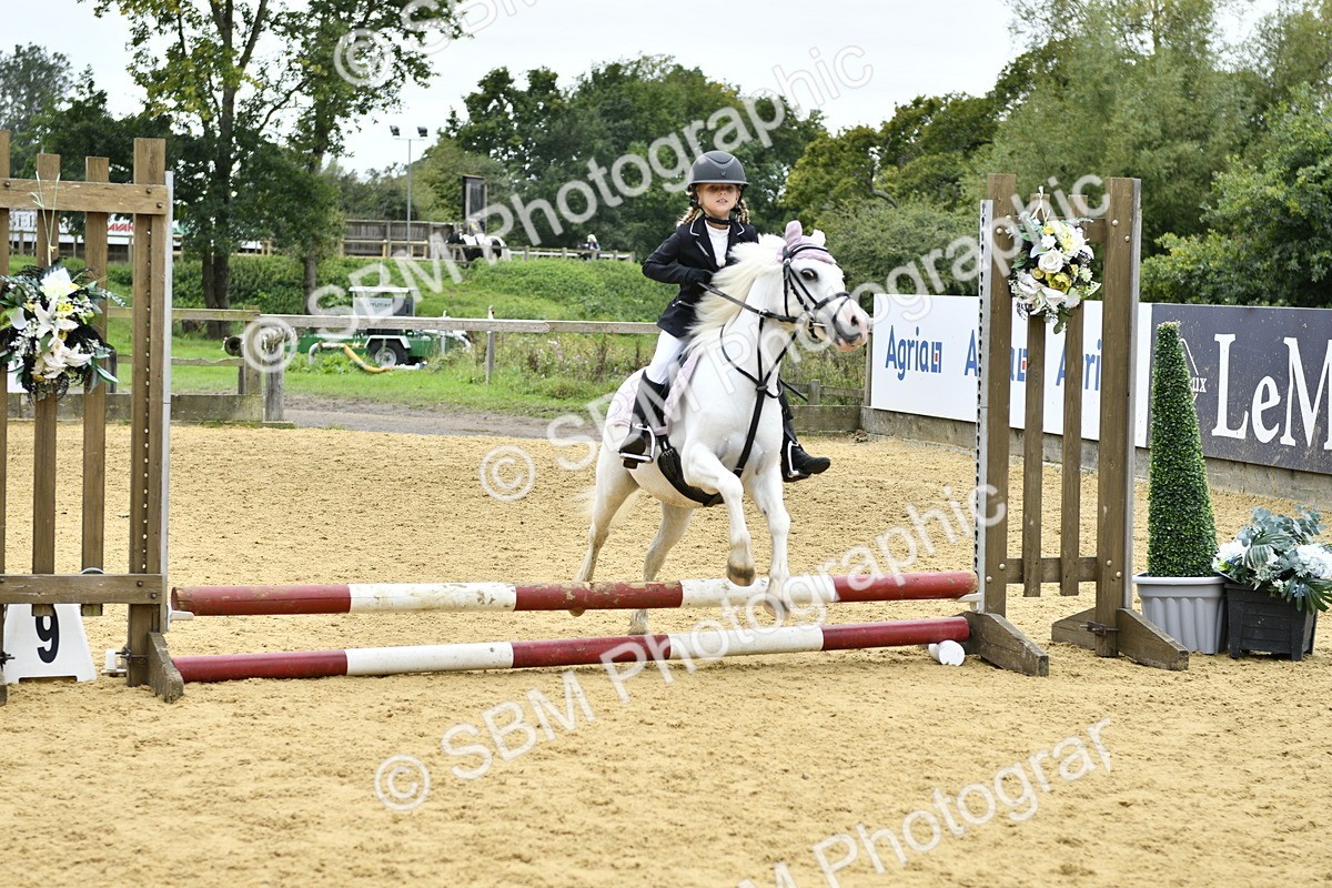 SBM_66152 - J2a mini Tour Junior Pony 30cm Championship