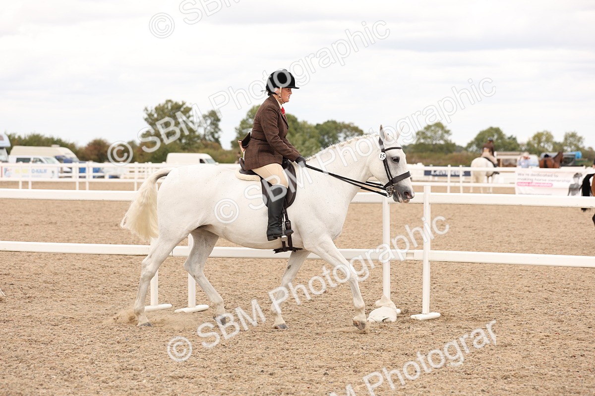 SBM_16468 - Class 212 - Ridden Hunter - Small