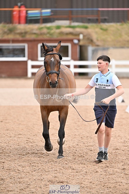 250716-142946-01118 - Trot Up 1.30 to 2.30