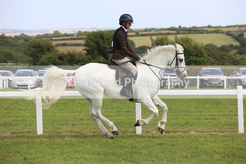 JPP_3859 - Class 23: Working Hunter 80cm