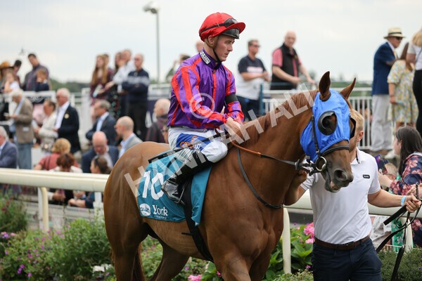 yr04092022r2-5 - Race 2 2.20pm John and Judith Marshall Memorial Stakes