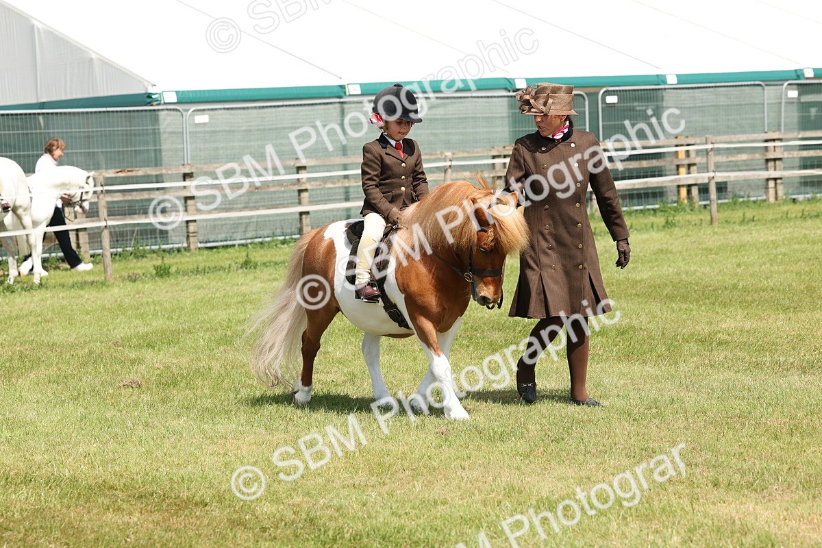 SBM_05261 - Class 24-25 - Mountain & Moorland In Hand Lead Rein and First Ridden