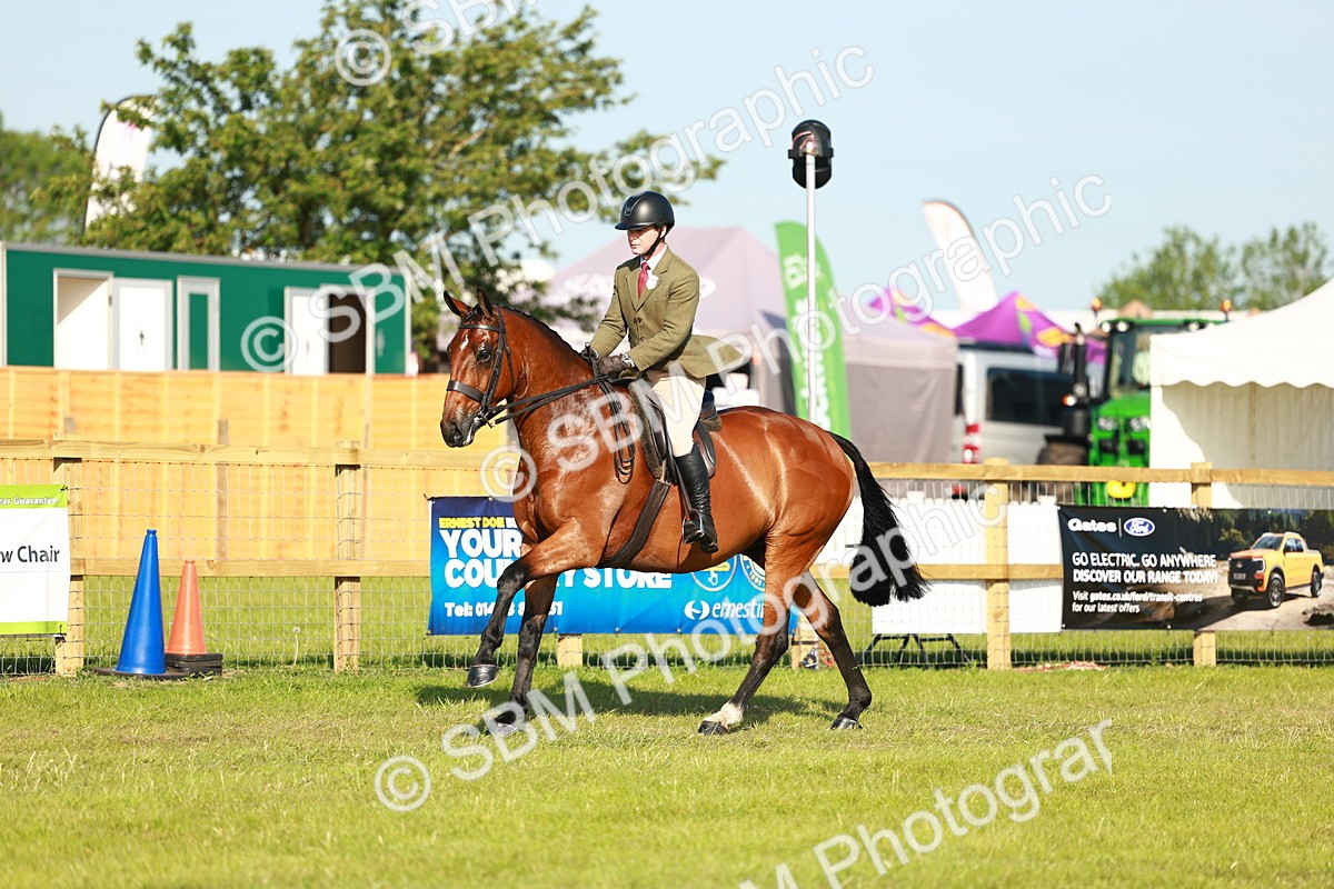 SBM_10787 - Class 66-69 - RIHS Ridden Hunters Inc Small Hunter