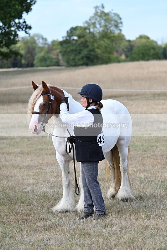 WJ7_8348 - In-hand Championship