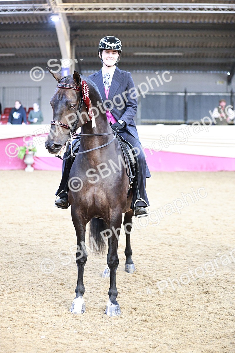 SBM_09148 - Class 12R - Regional Ridden Pre-Vet