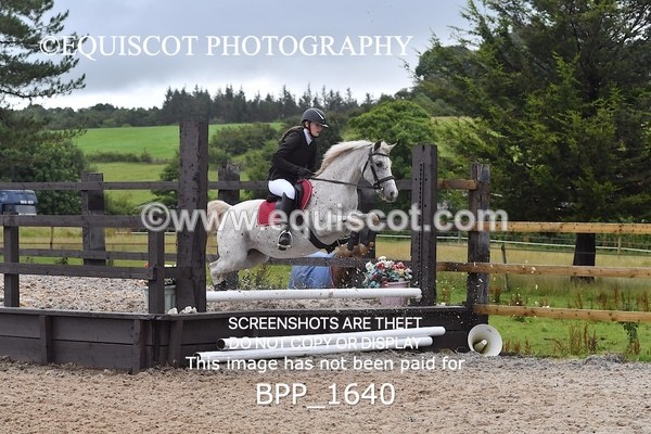 BPP_1640 - DERBY CLASS 4 - 50CM