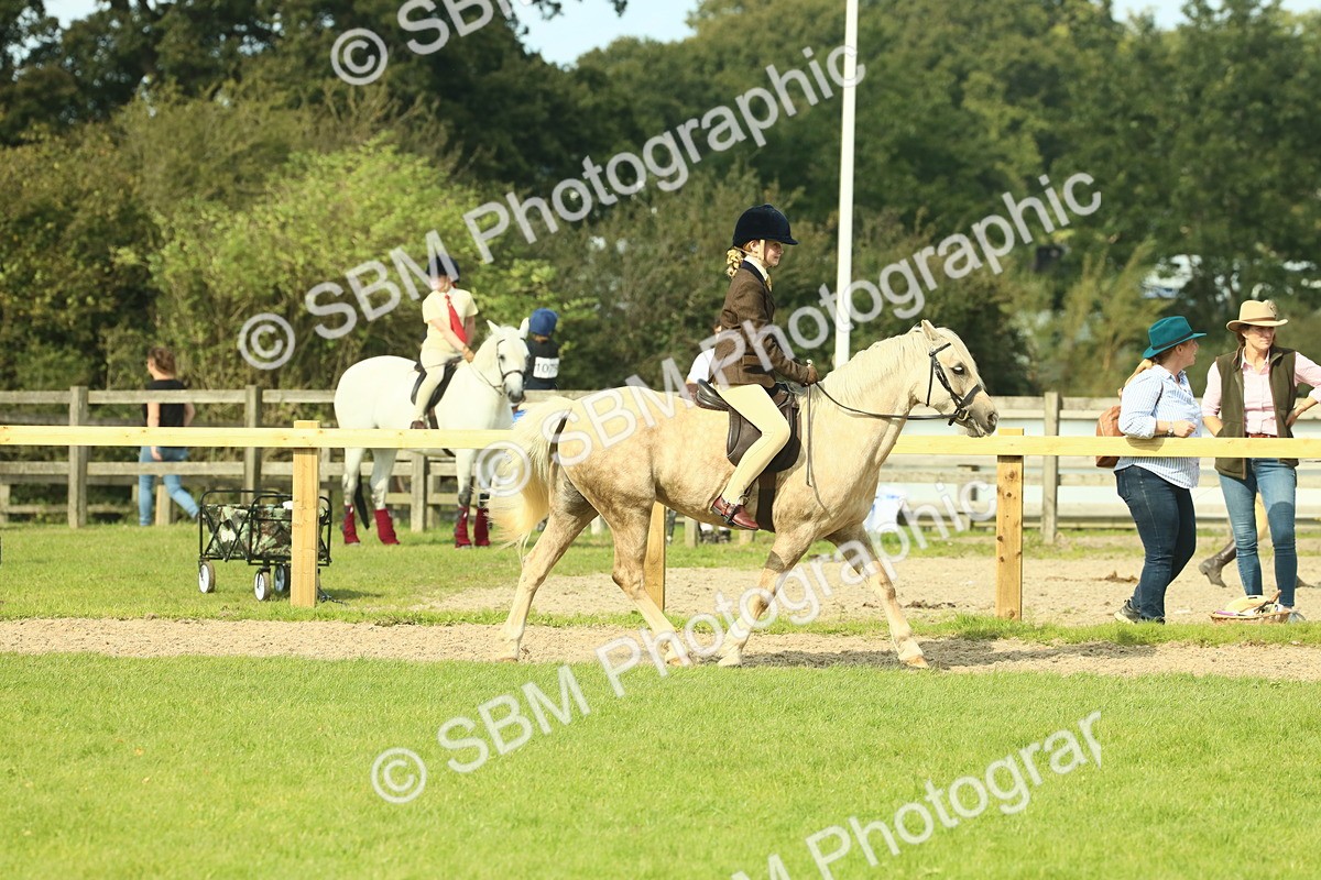 SBM_68827 - S58 - Mini Show Cob Ridden