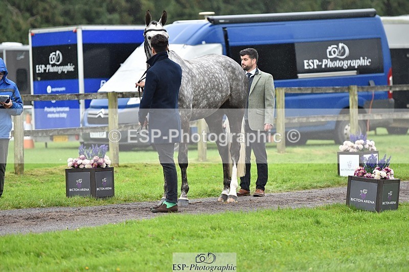 231018-122314-00249 - 032-COOLEY.ROCCO-Ben.Way-TrotUp