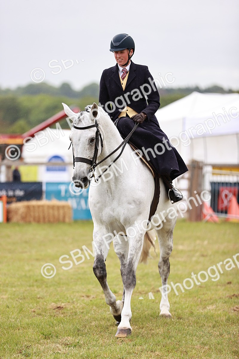 SBM_10978 - Class 81-84 - RIHS Ridden hunters Inc Ladies Hunter