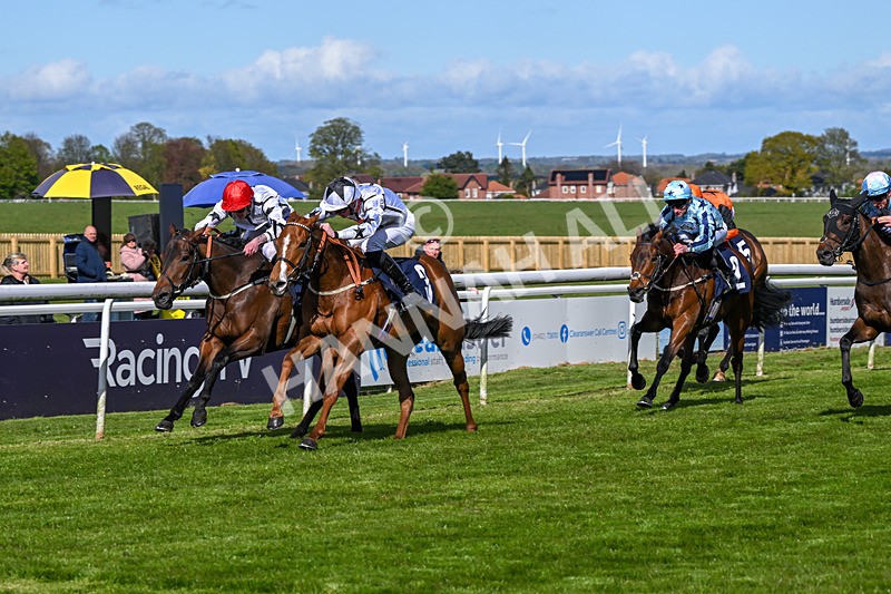 250424-Race 4-Classy Boy-1311 - Race 4