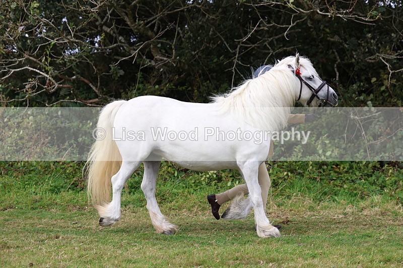 3E7A4593 - Class 16: Best Grass Kept