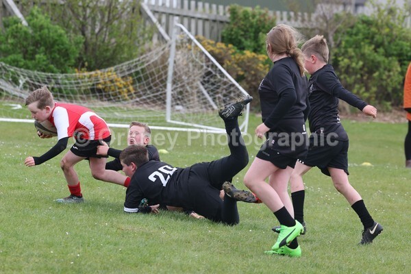 DAD22407 - Rookies/Mini Rugby on 7s Day