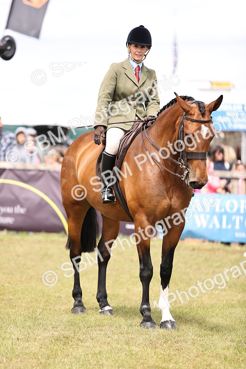 SBM_14719 - Class 88-89 - LIHS BSHA Rising Star of Ridden Hunter Type