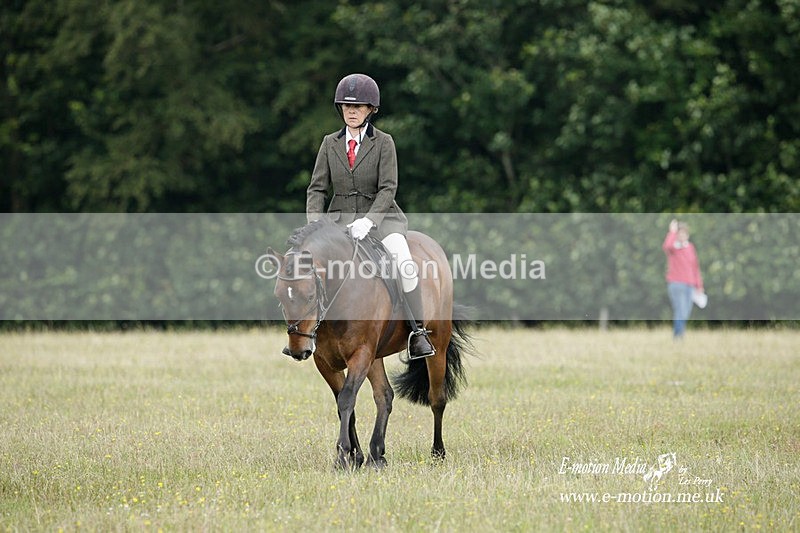 BVRC 030721 398 - Bourne Valley Riding Club Dressage 03/07/21