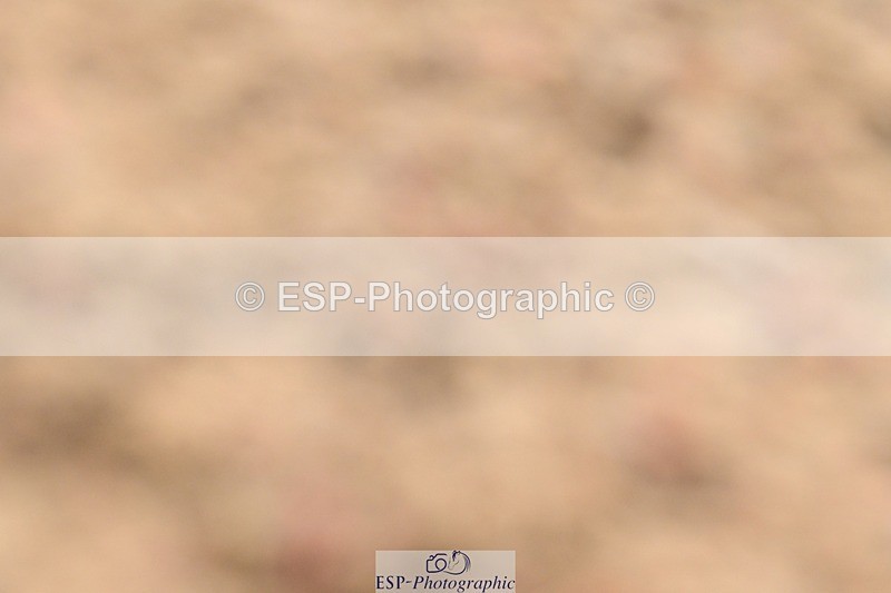 250621-115147-08315 - Cls 26 - Novice 5 Start to 12