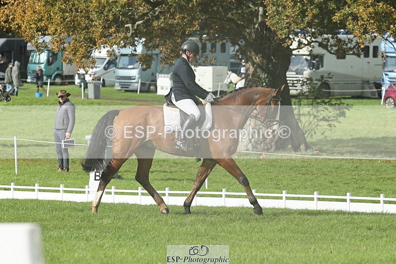 251023A-144251-05011 - G-523-Tasha.Seely