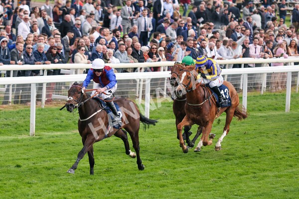 yr13052022r7-37 - Race 7 5.15pm Longines Irish Champions Weekend Stakes