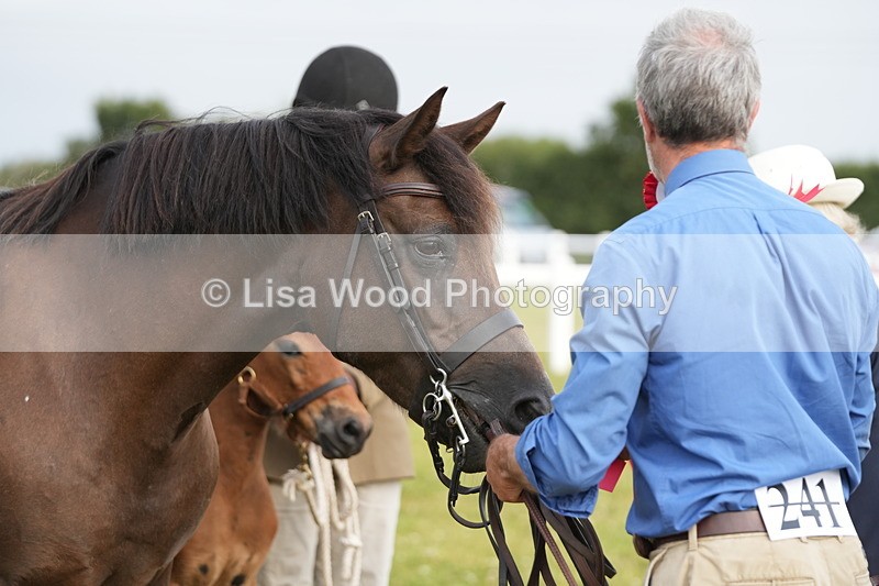 DSC04468 - Classes 44 & 45: NPS M&M Brood Mare and Foal