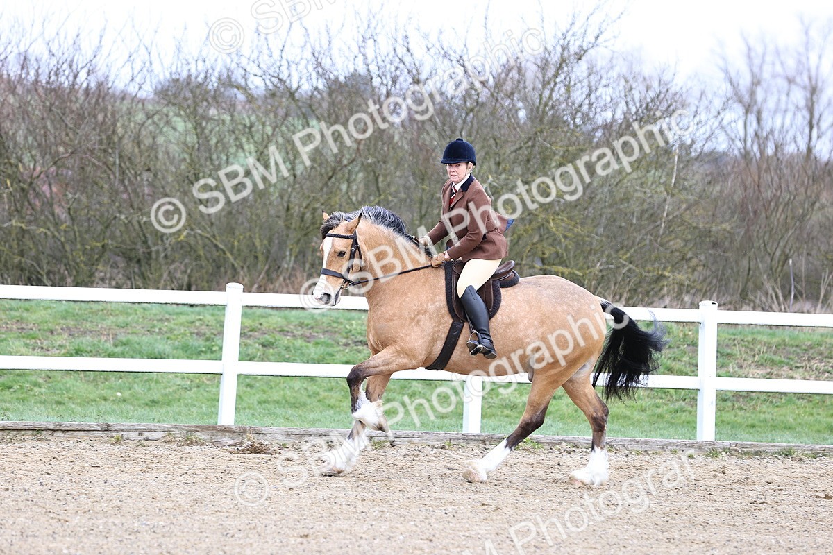 SBM_006954 - Class 29 - 30 - M&M Pure Novice Small-Large Breeds