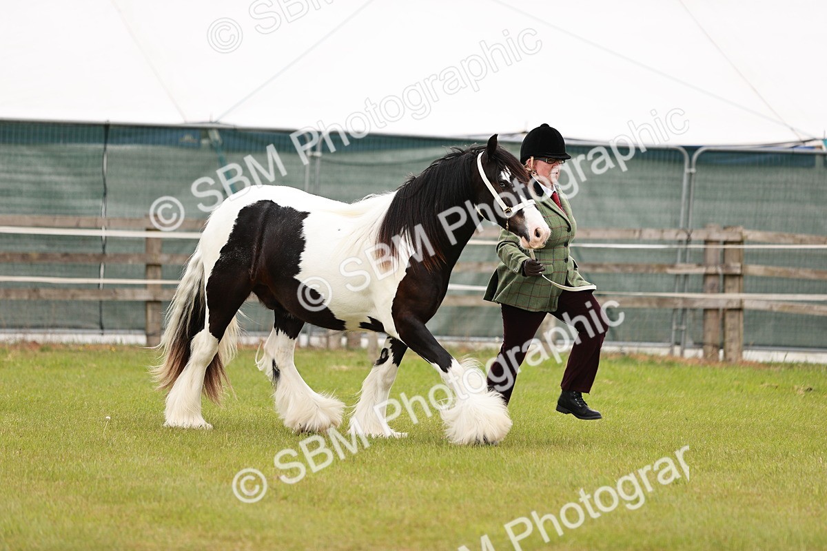 SBM_05956 - Class 39-41 TGCA In Hand and Ridden