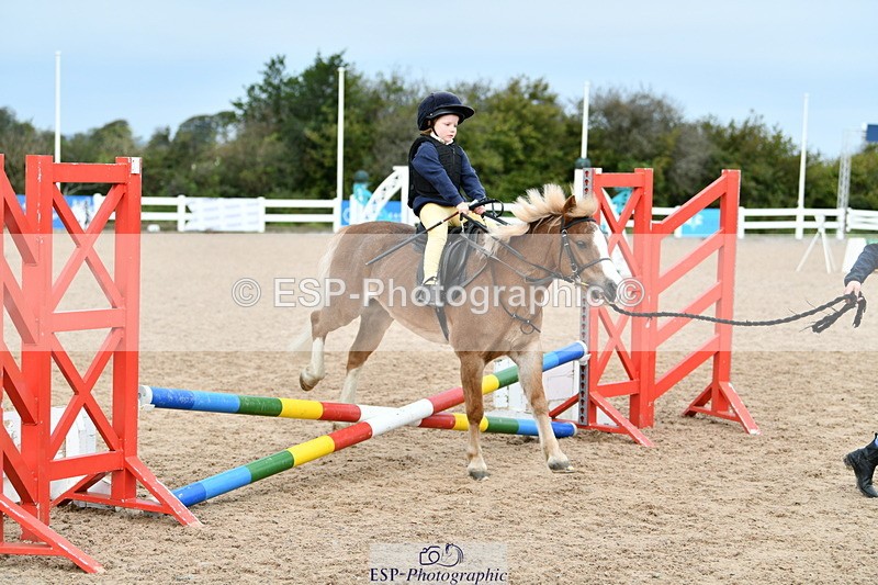 241013B-102910-00384 - Cls 2c 40cm Lead Rein