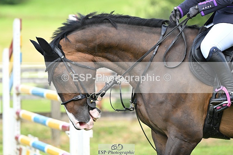 240706-104656-14253 - Cls 31, 5 yr old Qualifier