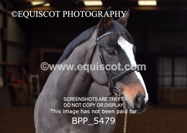 BPP_5479 - Morag Johnston