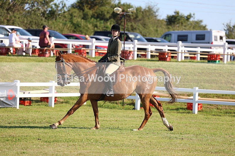 3E7A5416 - Class 2: Rising Star Large Hack/Riding Horse