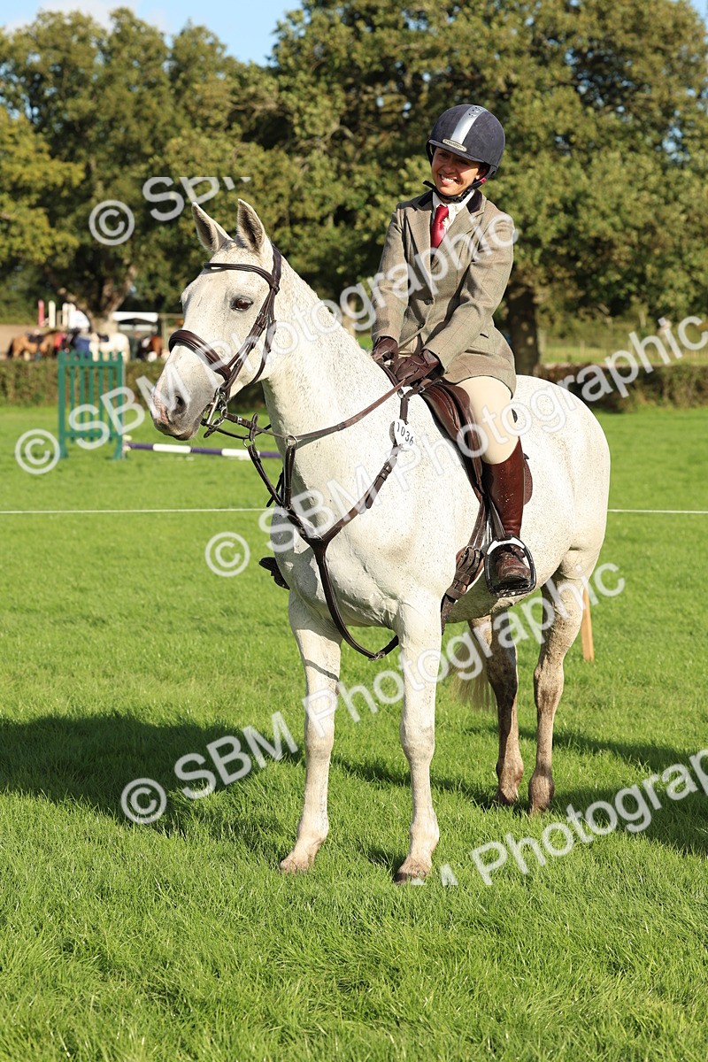 SBM_50169 - S34 - Novice & Newcomers Working Hunter