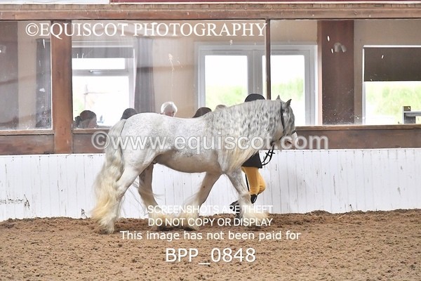 BPP_0848 - RING 1