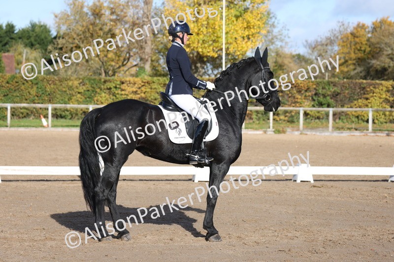 20251102-0638 - Class 4 - Novice 6