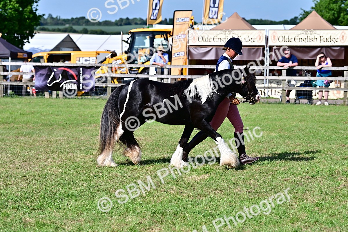 SBM_10009 - Class 63-65 - Traditional Gypsy Cobs In Hand & Ridden