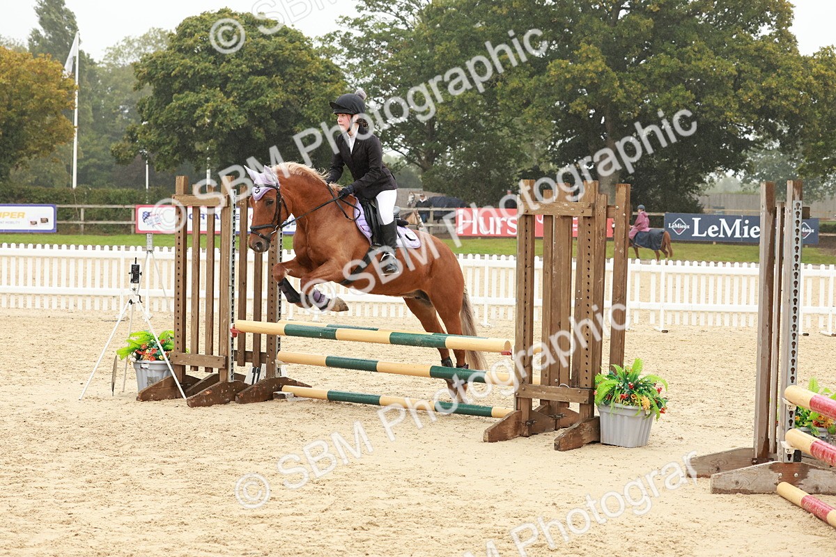 SBM_71335 - J14 - Junior Pony 65cm Championship