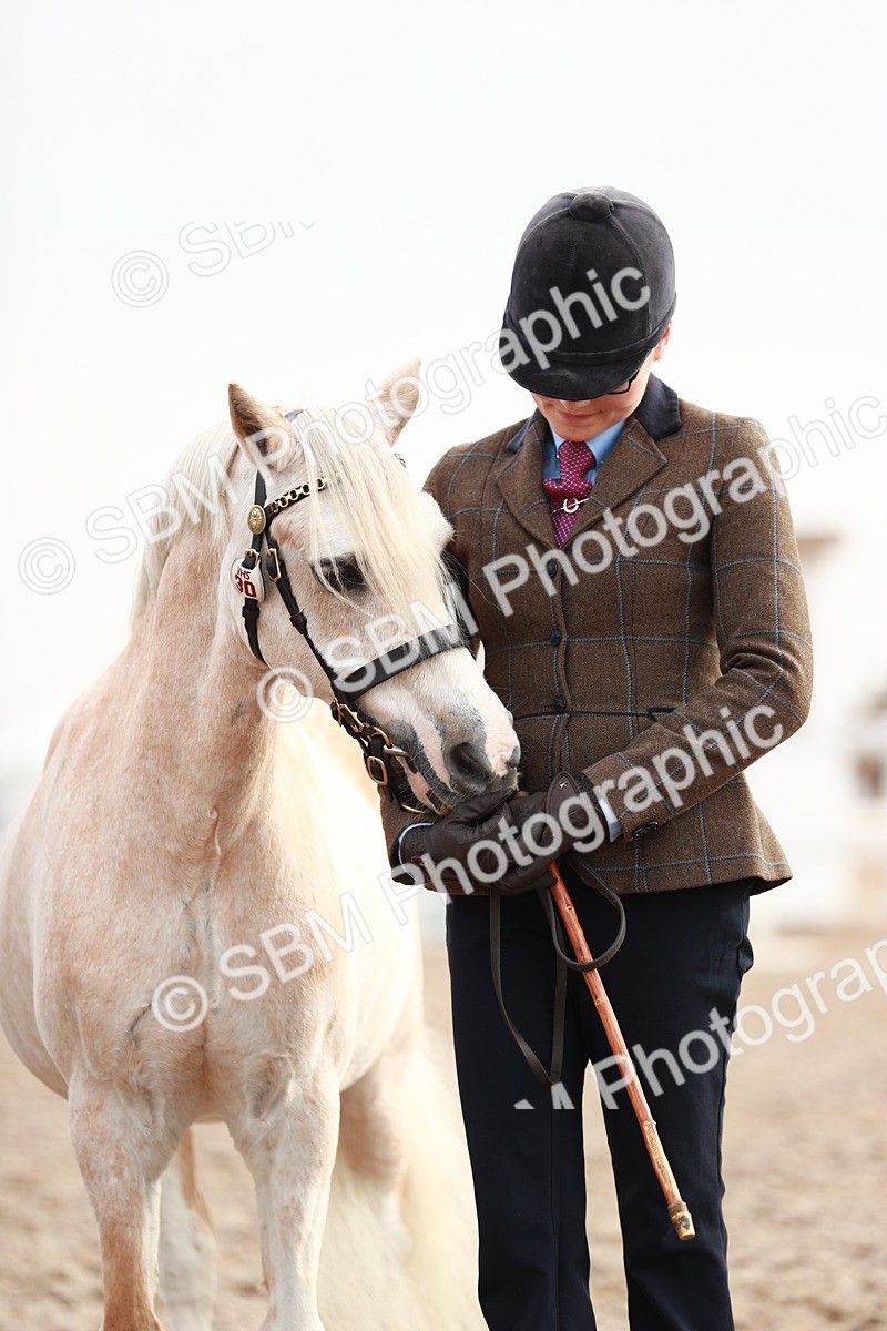 SBM_09532 - Class 201 Best Turned Out IH