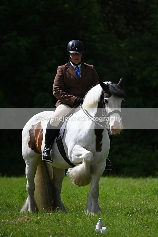WJ7_1345 - Class 11 Condition & Turnout