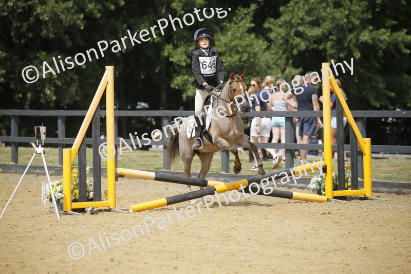 20250622-4136 - 50cm