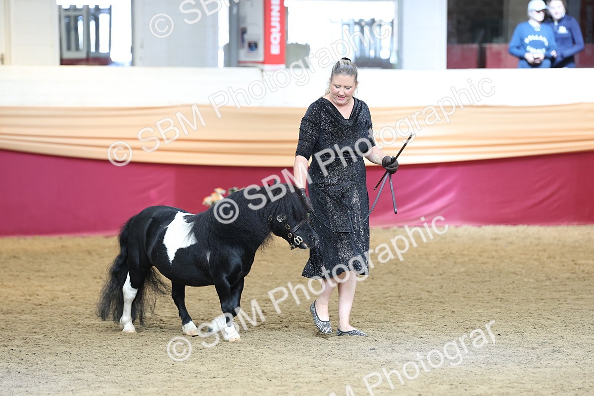 SBM_23331 - Class 903 - Supreme Final - IH Pre Vet