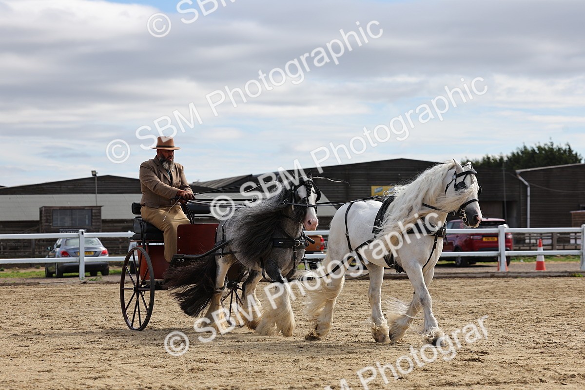 SBM_001225 - Class 16 - Pairs ,Multiples and Tandems