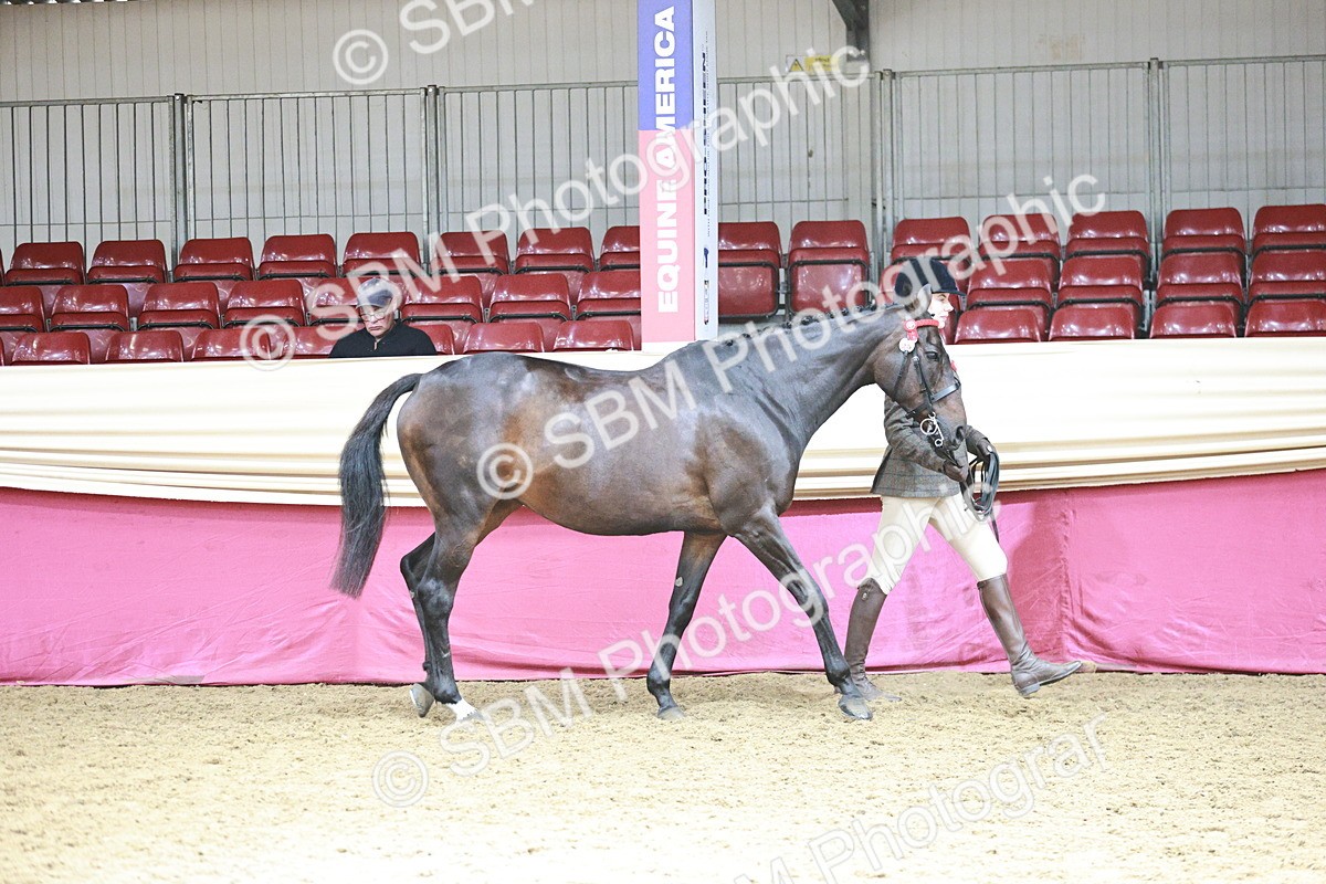 SBM_04704 - Class 7R - Regional IH Diamond