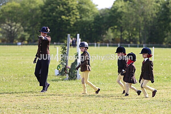IMG_2100 - Working Hunter