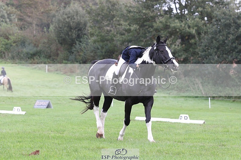 231019-135738-03835 - 438-KILCORBAN.MY.FAIR.LADY-Natasha.Crapper-DR