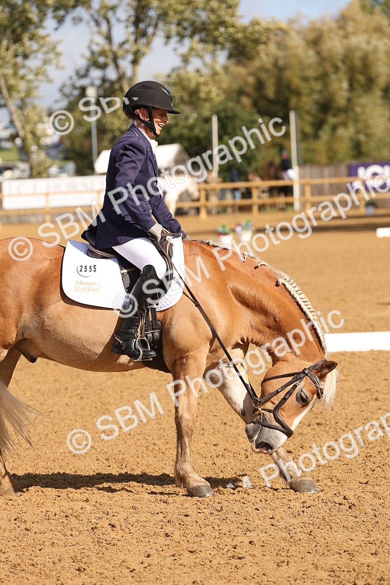 SBM_37695 - D18 - Grand Tour Championship Novice 2