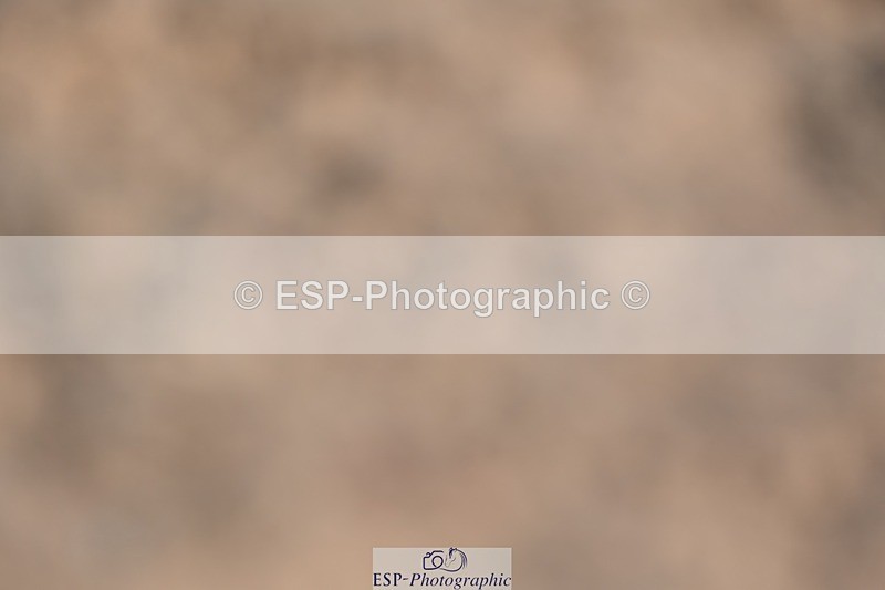 230811-145456-02162 - Cls 2 Prelim Silver 14.45 to End