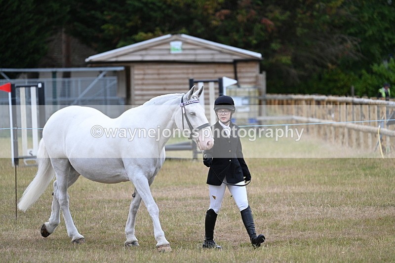 WJ7_9062 - Class 4a Prettiest Mare 14.2hh and over