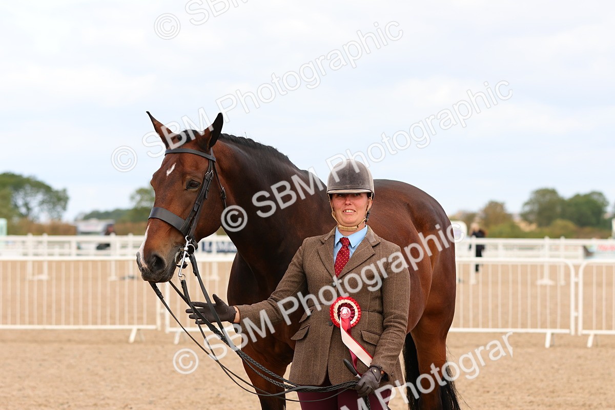 SBM_12359 - Class 210 - IH Show Horse