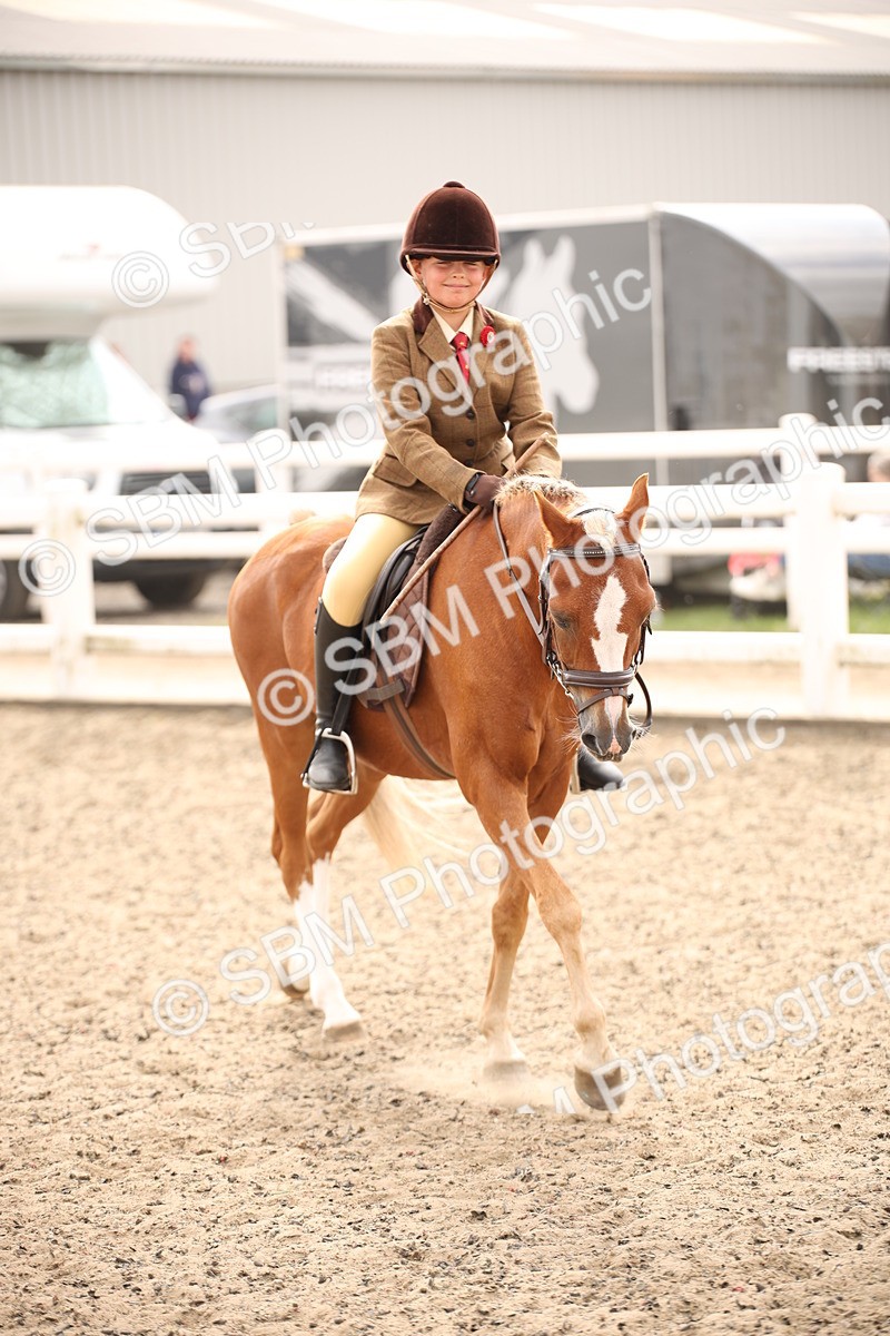 SBM_12626 - Class 405b - M&M Working Veteran 50cm 20+