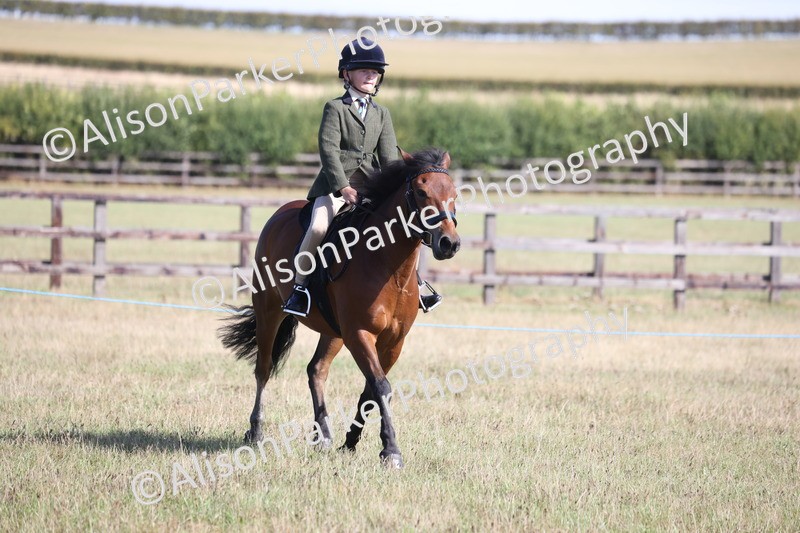 20260906-2233 - Class 16 - Family Pony