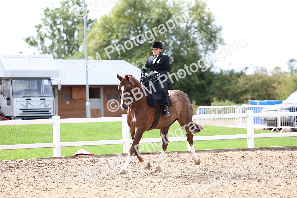 SBM_03337 - Class 23 - SSA Classical (any age)